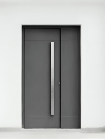 External aluminum doors