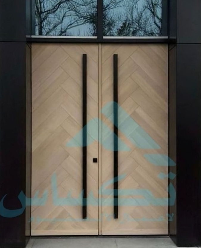 Modern main facades door